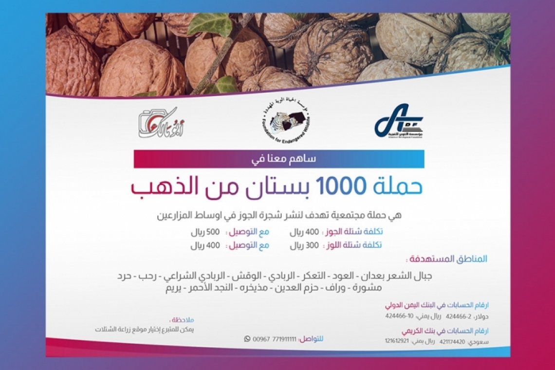 مؤسسة التنوير للتنمية وبالشراكة مع مؤسسة الحياة البرية المهددة وبمبادرة من "أبو مالك الفضلي " .. إطلاق حملة الف بستان من الذهب - اليمن
