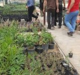 تشجير ديوان محافظة البصرة .. ضمن حملة "من أجل بصرة خضراء" - العراق