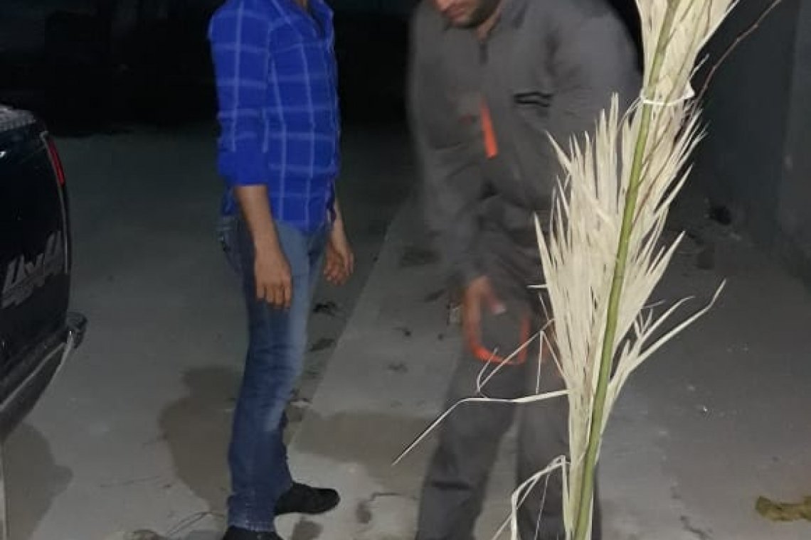 حملات العمل التطوعي مستمرة "من أجل بصرة خضراء" - العراق