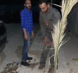 حملات العمل التطوعي مستمرة "من أجل بصرة خضراء" - العراق