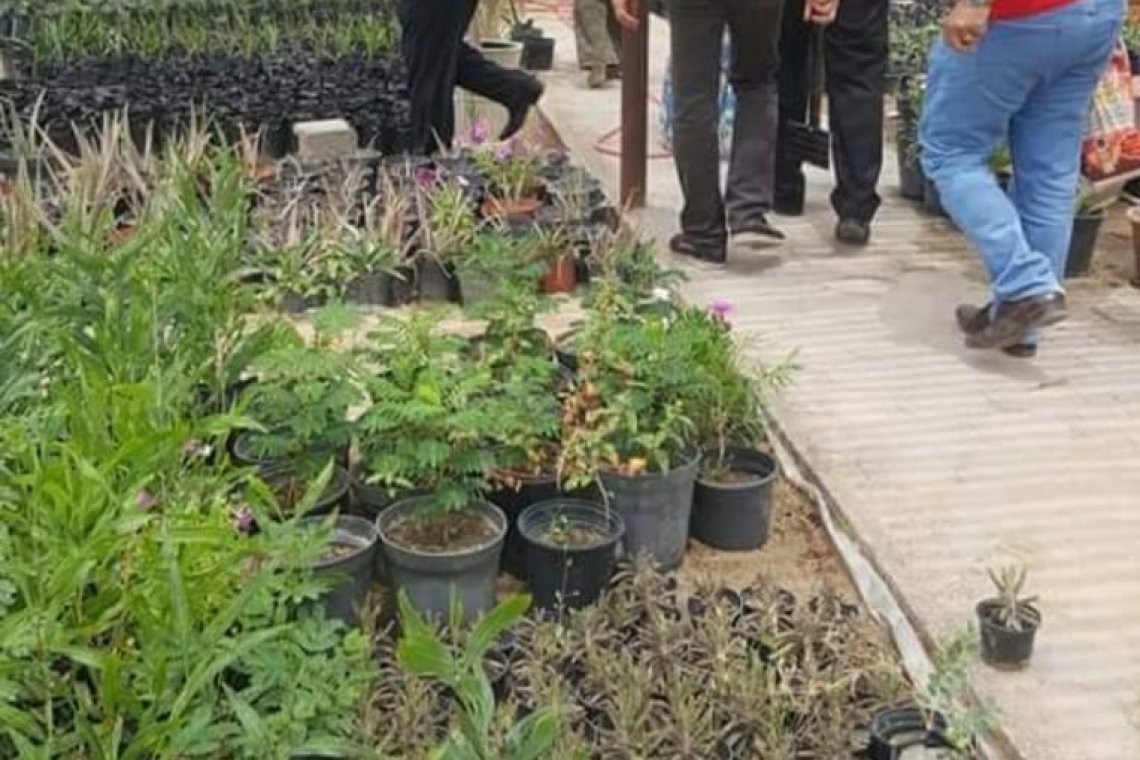 تشجير ديوان محافظة البصرة .. ضمن حملة "من أجل بصرة خضراء" - العراق